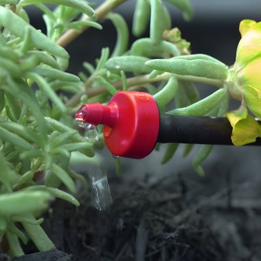 Click here to see Rainbird XB20PCBULK Rain Bird Xeri-Bug Emitter, Barb Inlet, 2.0 GPH, Red - XB20PCBULK (X68050)