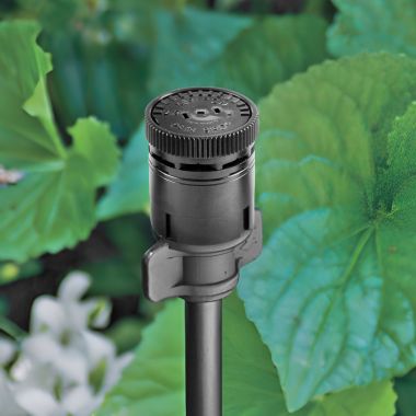 Click here to see Rainbird SQHLF Rain Bird Half-Square Pattern Nozzle - SQHLF (X54901)