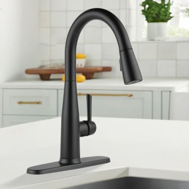 Click here to see Delta 9113T-BL-DST Delta Essa Single Handle Pull-Down Kitchen Faucet, Touch2O, DIAMOND Seal, MagnaTite, ADA, 1.8 GPM, Matte Black - 9113T-BL-DST