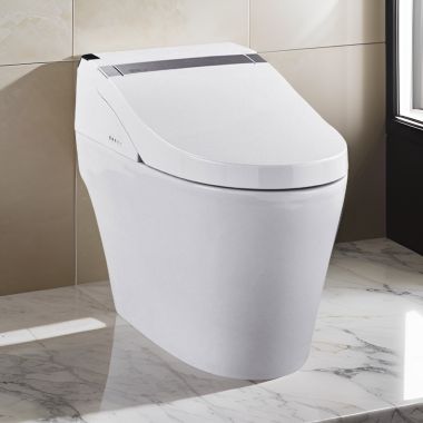 Click here to see ProStock PSBTWE1000 ProStock Elongated Toilet with Integrated Smart Electronic Bidet Combo, 1.0 & 1.5 GPF, White - PSBTWE1000
