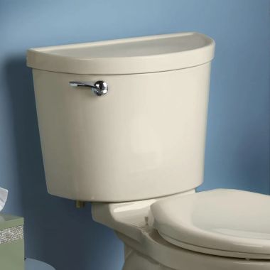 Click here to see American Standard 4225A.004.021 American Standard Champion Pro Unlined Tank, 12