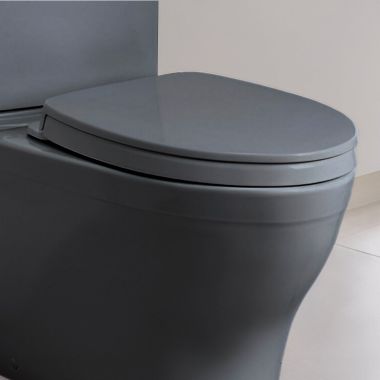 Click here to see Toto SS124#51 Toto SS124#51 Ebony Elongated SoftClose Toilet Seat