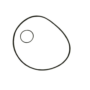 Click here to see Red Lion 640249 Red Lion 640249 O-Ring and Gasket Kit for RLSP Pump