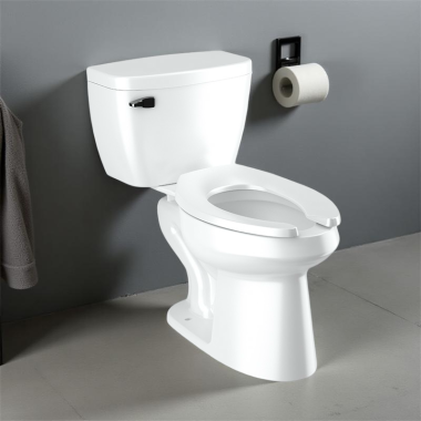 Click here to see Sloan 80298013 Sloan Elongated Two-Piece Toilet, Floor-Mounted, Pressure-Assist, 1.6 GPF, White - WETS-8029.8013