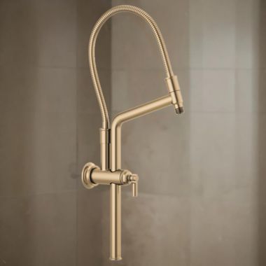 Click here to see Brizo 81376-GL Brizo Essential 10-7/16