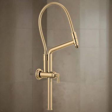 Click here to see Brizo 81376-PG Brizo Essential 10-7/16