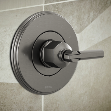 Click here to see Brizo RP101153SL Brizo Invari 7