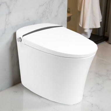 Click here to see ProStock PSBTWE2000 ProStock Elongated Toilet with Integrated Smart Electronic Bidet Combo, 1.6 GPF, White - PSBTWE2000