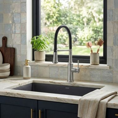 Click here to see  442509 Blanco Empressa Semi-Pro Pull-Out Kitchen Faucet, Swivel Spout, 1.5 GPM, PVD Steel - 442509