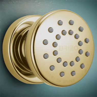 Click here to see Brizo 84110-BB Brizo 84110-BB Brilliance Brass Touch-Clean Body Spray With Valve