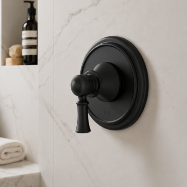 Click here to see  UT2031BL Moen Dartmoor M-CORE Transfer Valve Trim, Matte Black - UT2031BL