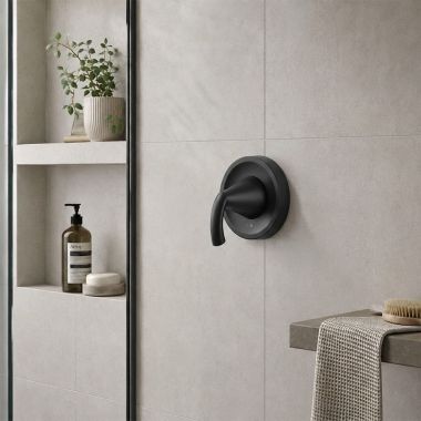 Click here to see  UT2721BL Moen Glyde M-CORE Transfer Valve Trim, Lever Handle, Matte Black - UT2721BL