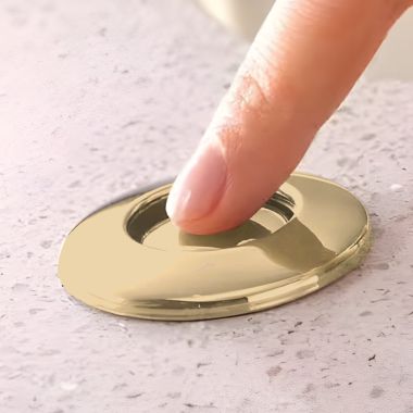 Click here to see Brizo 69080-GL Brizo Air Switch With Dual Outlet and 6' Flexible Hose, Brilliance Luxe Gold - 69080-GL