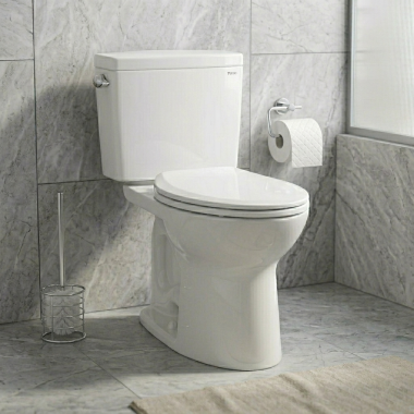 Click here to see  C776CEFG.10#01 TOTO Drake Elongated Toilet Bowl Only, Cefiontect, 10