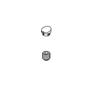 Click here to see Delta RP101740PC Delta RP101740PC Galeon Set Screw And Button, Chrome