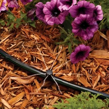 Click here to see Rain Bird MBSPF10SX Rain Bird Drip Irrigation Spray Micro-Bubbler, Full-Circle, 10-Pack - MBSPF10SX 
