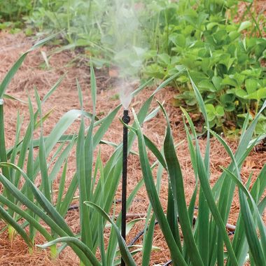 Click here to see Rain Bird MIST-F/2S Rain Bird Drip Irrigation Mister, 2-Pack, Black - MIST-F/2S