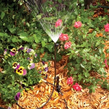 Click here to see  MSSTKTQ1SX Rain Bird 1/4