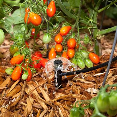 Click here to see Rain Bird MUF-SPK4S Rain Bird Full-Circle Micro-Umbrella Spike Sprinkler Heads, 4-Pack, 0 to 35 GPH, Black - MUF-SPK4S