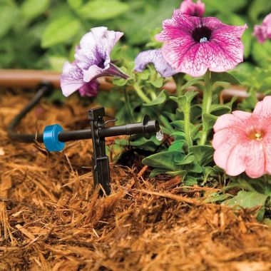 Click here to see Rain Bird SW05-10PS Rain Bird Spot Watering Emitter, 0.5 GPH, 10-Pack, Blue - SW05-10PS