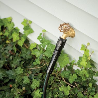 Click here to see Rain Bird HT07525PS Rain Bird Drip Irrigation Pressure Regulator, 25 PSI, 3/4