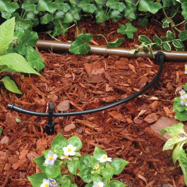 Click here to see Rain Bird LNDDRIPKIT Rain Bird Landscape and Garden Drip Watering Kit - LNDDRIPKIT 