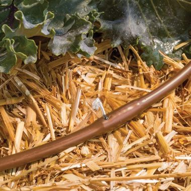 Click here to see Rain Bird ET256-50SX Rain Bird Drip Irrigation Emitter Tubing, 1/4