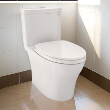 Click here to see Toto MS446124CEMGN#11 TOTO Aquia IV ADA WASHLET+ Elongated Toilet with Sanagloss, Colonial White  - MS446124CEMGN#11