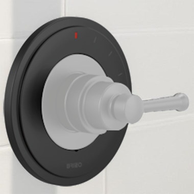 Click here to see Brizo RP100608BL Brizo Atavis 6