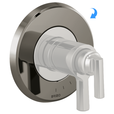 Click here to see Brizo RP100424BNX Brizo Levoir Escutcheon, Brilliance Black Onyx - RP100424BNX