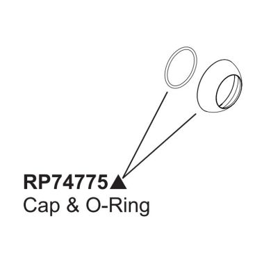 Click here to see Brizo RP74775BN Brizo Cap and O-Ring for Semi-Professional Kitchen Faucet, Brilliance Brushed Nickel - RP74775BN