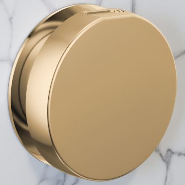 Click here to see Brizo RP103313PGL Brizo Mystix Contemporary Round Steam Head, Brilliance Polished Gold - RP103313PGL