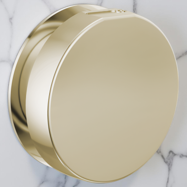 Click here to see Brizo RP103313PNL Brizo Mystix Contemporary Round Steam Head, Brilliance Polished Nickel - RP103313PNL
