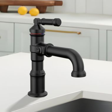 Click here to see Delta 584-BL-DST Delta Broderick Single Handle Bathroom Faucet, DIAMOND Seal, ADA, 1.2 GPM, Matte Black - 584-BL-DST