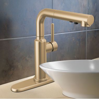 Click here to see Delta 16879-CZ-DST Delta Daneri Single Handle Pull-Out Kitchen Faucet, Touch-Clean, DIAMOND Seal, MagnaTite, ADA, 1.8 GPM, Champagne Bronze - 16879-CZ-DST