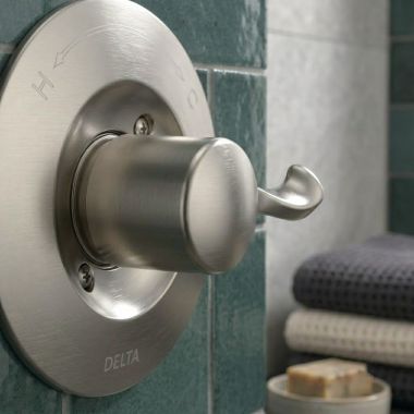 Click here to see Delta RP101940SP Delta Esato Handle And Shower, ADA, Spotshield Stainless - RP101940SP