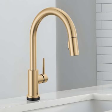 Click here to see Delta 9159TLV-CZ-DST Delta Trinsic VoiceIQ Kitchen Faucet with Touch2O Technology, DIAMOND Seal, MagnaTite, Touch-Clean, 1.8 GPM, ADA, Champagne Bronze - 9159TLV-CZ-DST