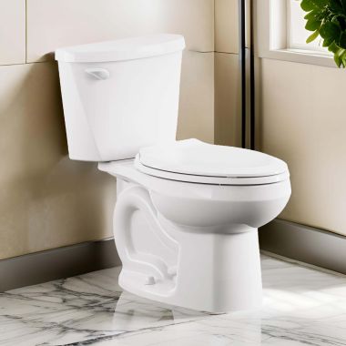 Click here to see American Standard 250AA004.020 American Standard Colony3 Two-Piece Toilet, Elongated, Chair Height, PowerWash, ADA, 12