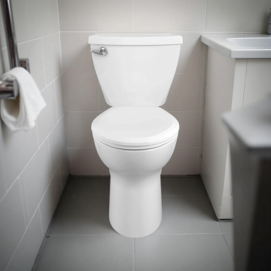 Click here to see American Standard 270AA101.020 American Standard Cadet 3 Right Height Elongated Toilet, 12