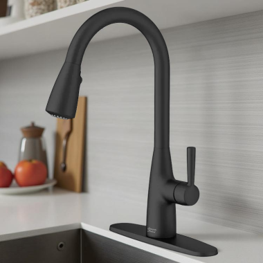 Click here to see American Standard 7617300.243 American Standard Hillsdale Single-Handle Pull-Down Dual Spray Kitchen Faucet, ADA-Compliant, Matte Black - 7617300.243