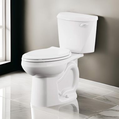 Click here to see American Standard 250AA105.020 American Standard Colony3 Two-Piece Toilet, Elongated, Chair Height, PowerWash, ADA, 12