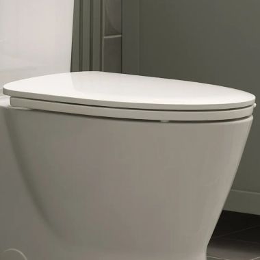 Click here to see American Standard 5036A65G.020 American Standard Aspirations Elongated Toilet Seat, Slow-Close, Easy Lift-Off, White - 5036A65G.020