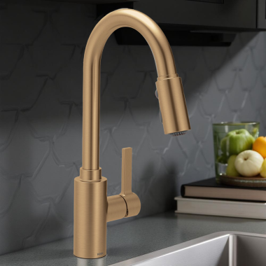 Click here to see   Moen Genta LX Single-Handle High Arc Pull-Down Kitchen Faucet, 1.5 GPM, Bronzed Gold - 7882BZG 