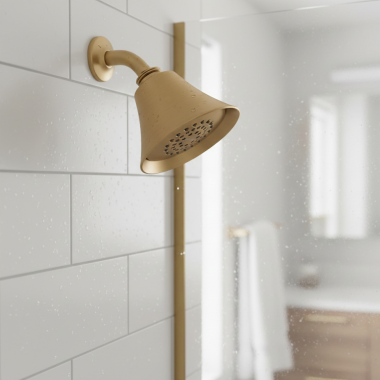Click here to see Moen 6370EPBZG Moen 3-3/4