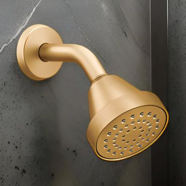 Click here to see Moen 6399EPBZG Moen 3-1/2