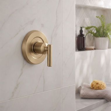 Click here to see Moen UT2921BZG Moen Gibson M-CORE Transfer Valve Trim, Lever Handle, Bronzed Gold - UT2921BZG