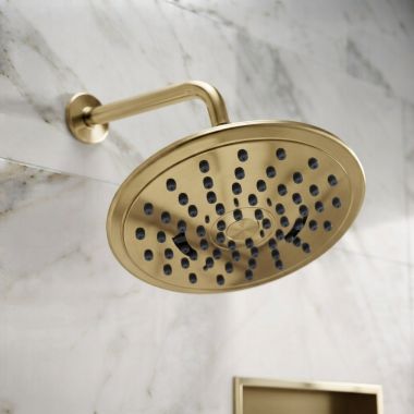 Click here to see Moen 6345EPBZG Moen 8