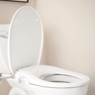 Click here to see Moen EB500-R Moen 2-Series Non-Electronic Bidet Seat for Round Toilets, White - EB500-R