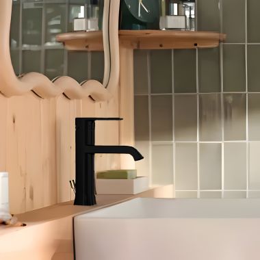 Click here to see   Moen Genta LX One-Handle Lavatory Faucet, 1.0 GPM. WaterSense, ADA, Matte Black - 6706BL