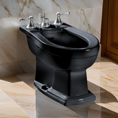 Click here to see Toto BT784B#51 TOTO Clayton Bidet w/ Flushing Rim, Vertical Spray, Less Faucet, Ebony - BT784B#51